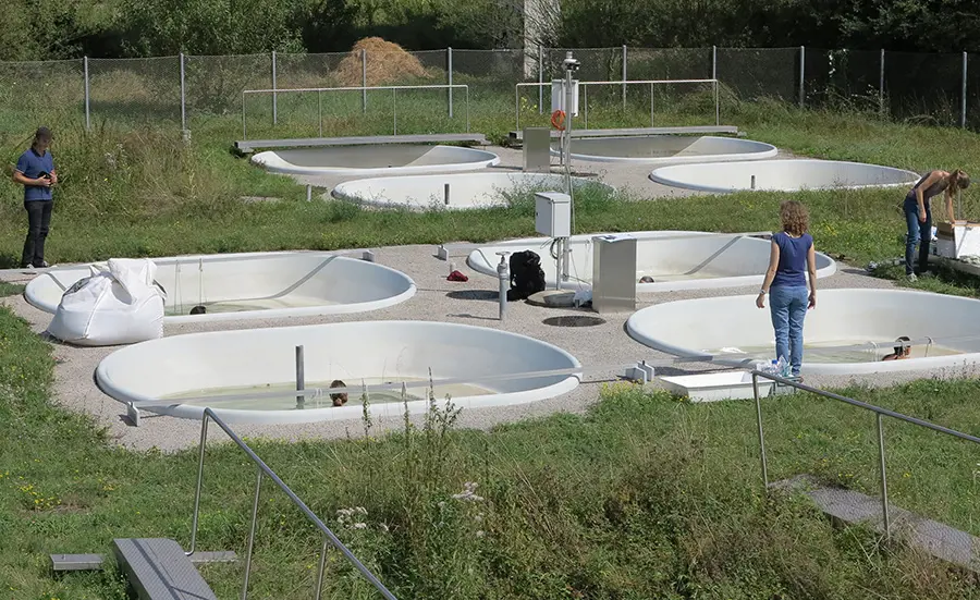 Crèmes solaires et lacs de baignade